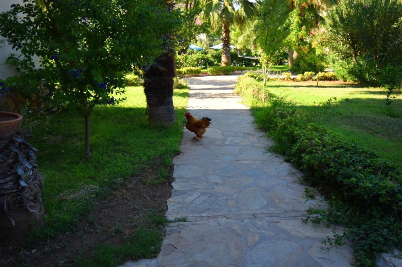 Adrasan Beach Club Hotel Antalya Kültér fotó